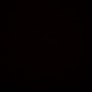 Meet your Posher, Tommy